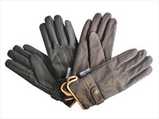 Mark Todd Winter Gloves with Thinsulate